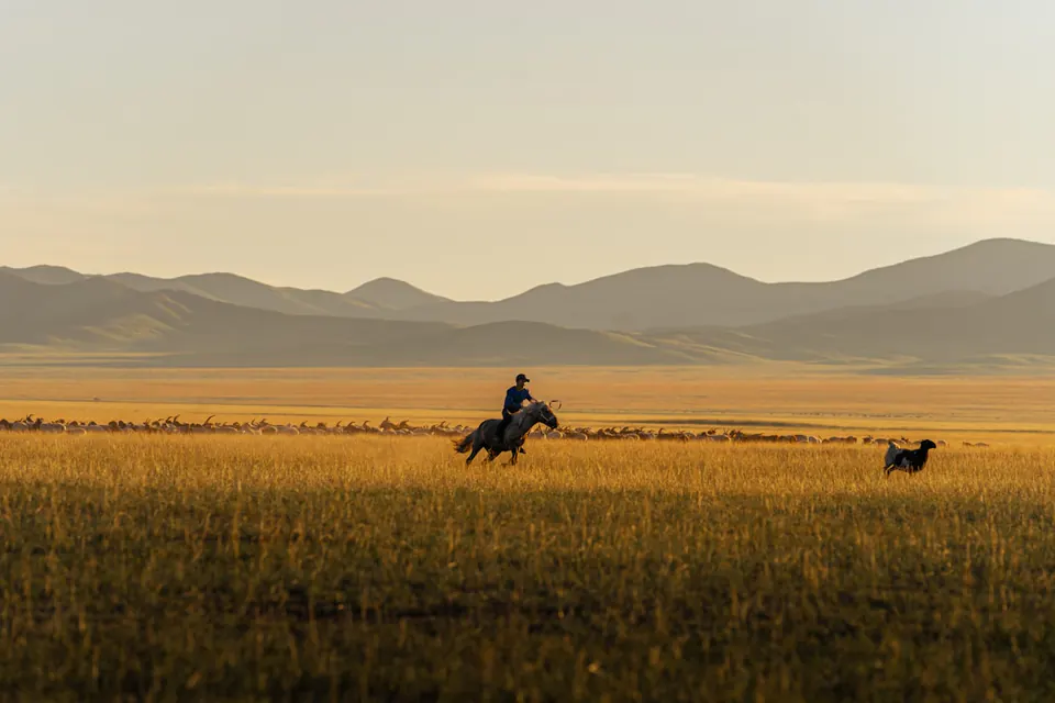 Nomadic Culture Journey