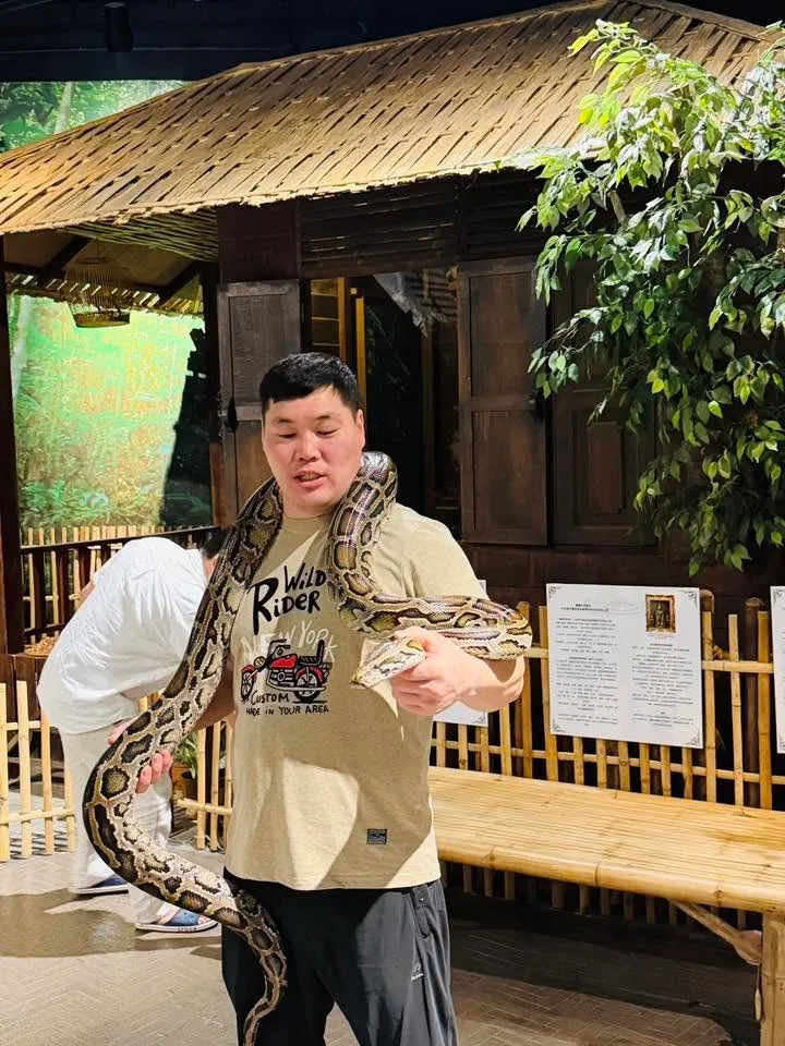 Аялагчид
